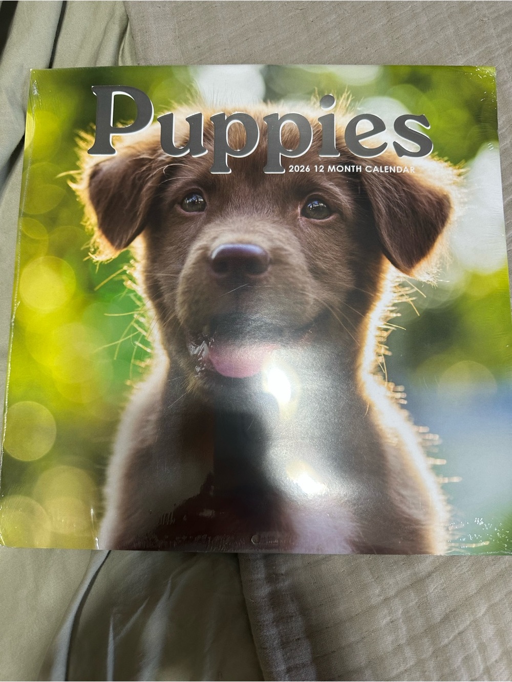 Puppies 2026 Wall Calendar -Puppies